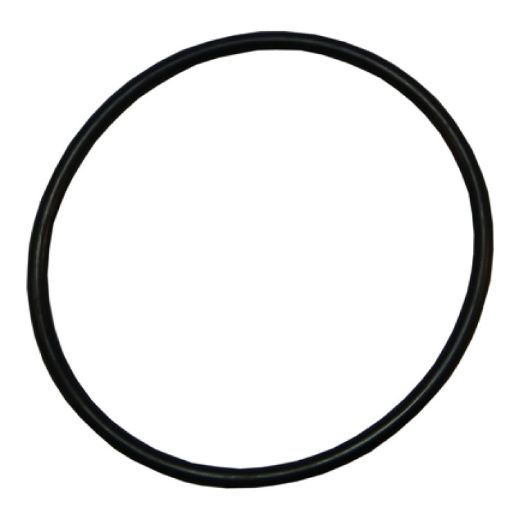 Sta Rite 5P2R Lid O-Ring