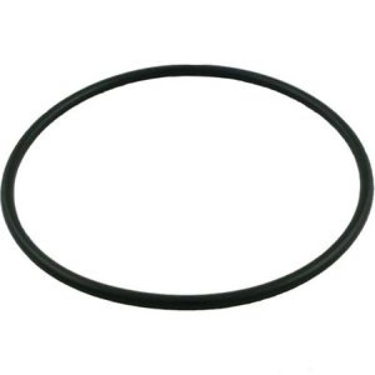 Hayward Feeder Lid 'O' Ring