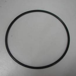 Intex Filter Pump O Ring
