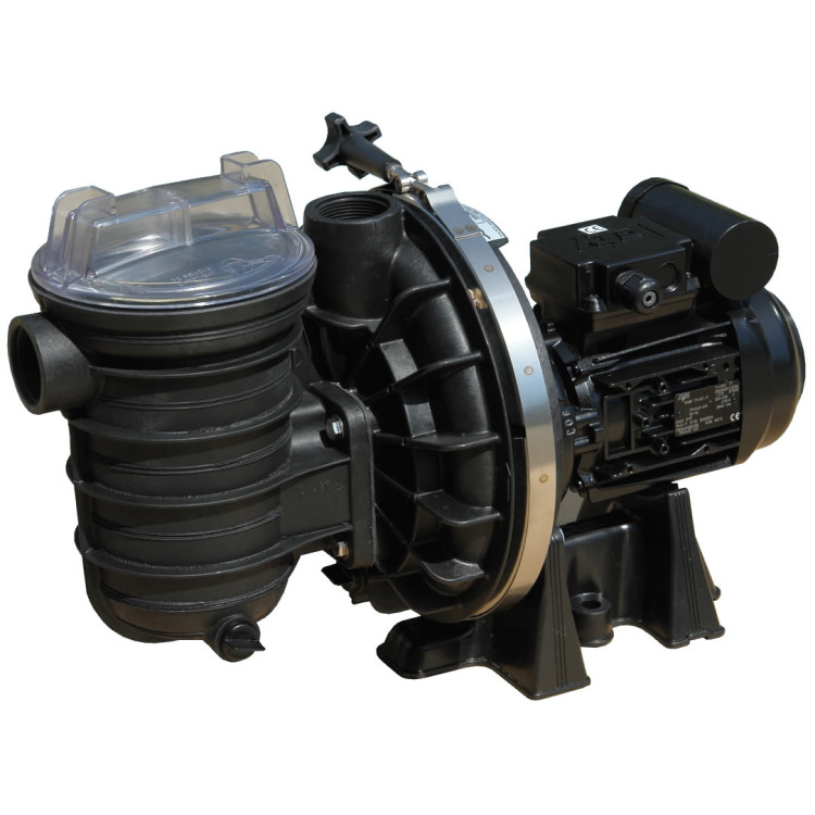 Sta Rite LA 0.5 HP Pool Pump 5P2R